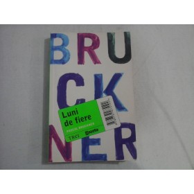      LUNI  DE  FIERE (roman)  -  Pascal  BRUCKNER 